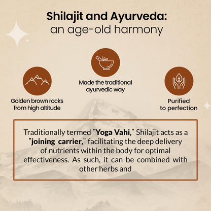 Shudh Shilajit Effervescent