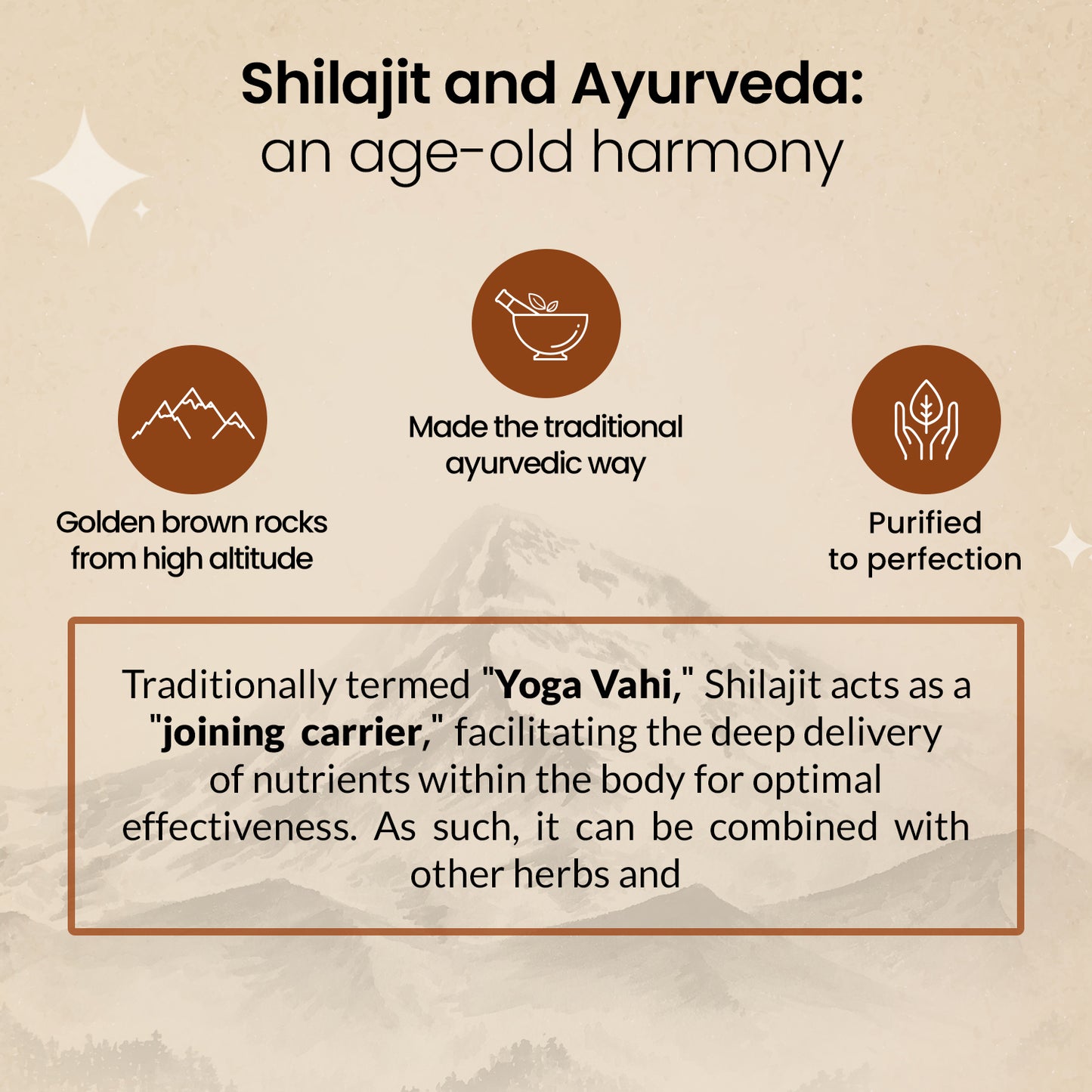 Shilajit Elaichi Effervescent